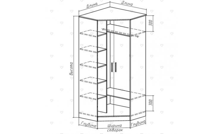 Радоя шкаф-купе угловой