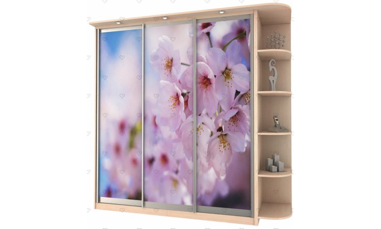 Шкаф-купе Байкал-Титан-30 с фотопечатью