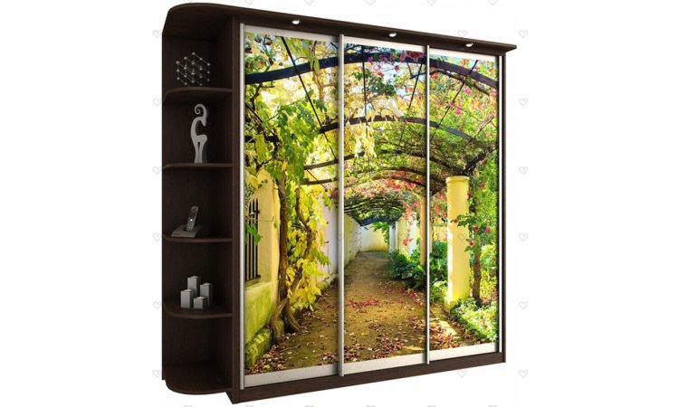 Байкал-Титан-40 шкаф-купе с фотопечатью