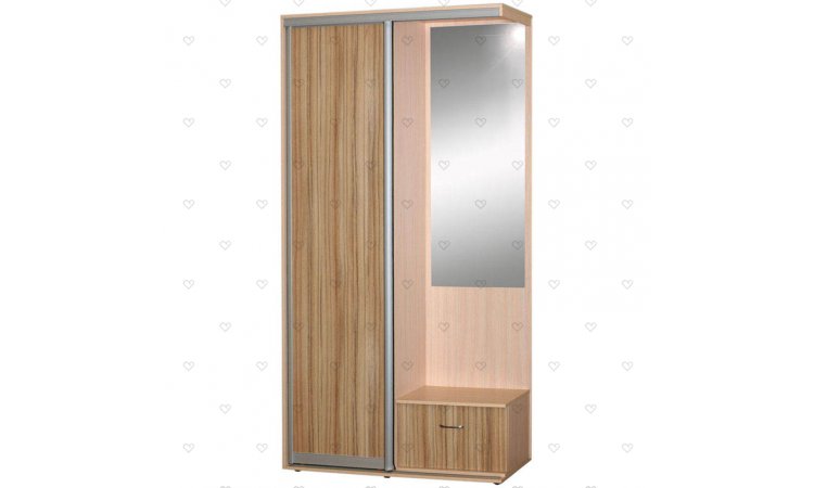 Ирина-1 прихожая-купе
