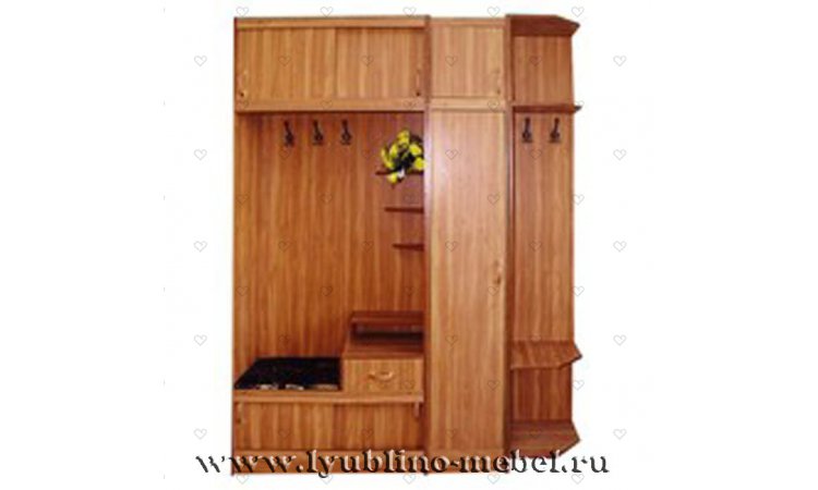 Роза-4 прихожая